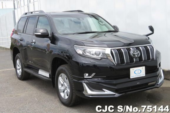 2019 Toyota / Land Cruiser Prado Stock No. 75144
